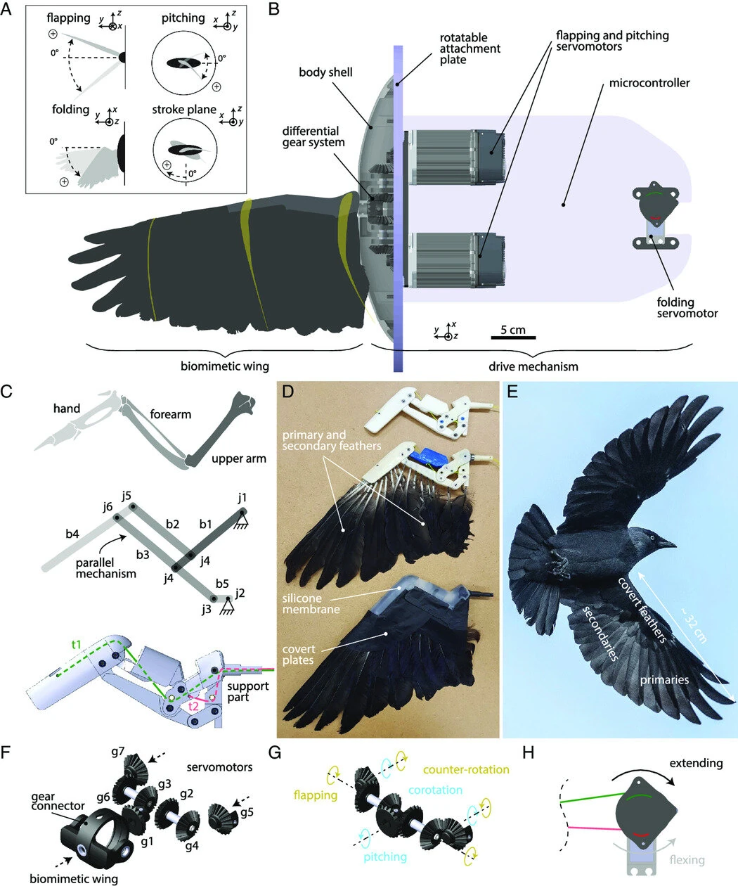 Advanced Intelligent Systems (2022). DOI: 10.1002/aisy.202200148